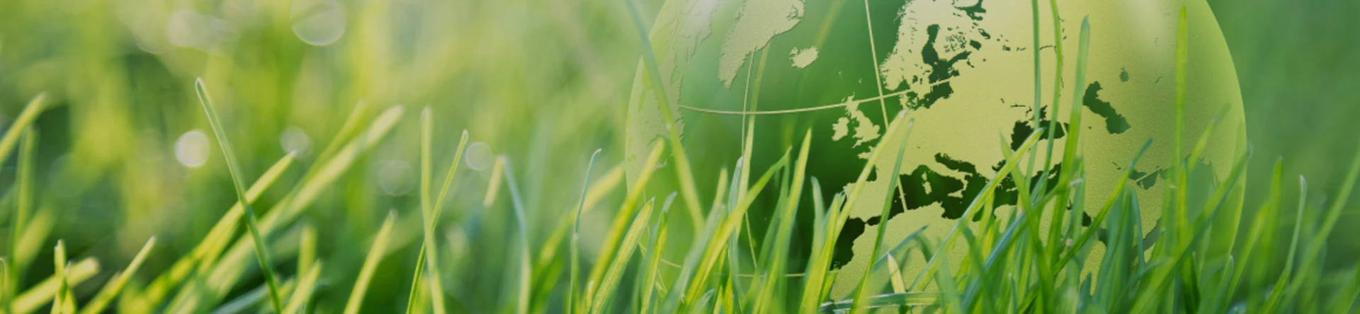 Хранение лития Переход вашей энергии на устойчивые литий-ионные батареи